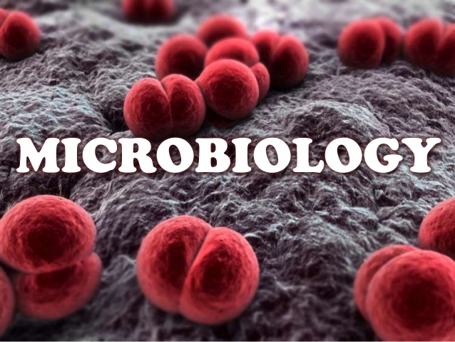 Introduction to Microbiology Микробиологийн оршил