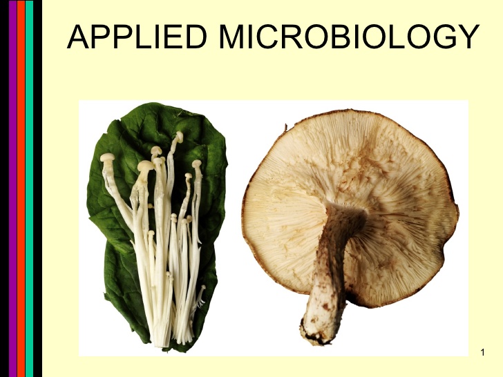 Applied Microbiology Хэрэглээний микробиологи